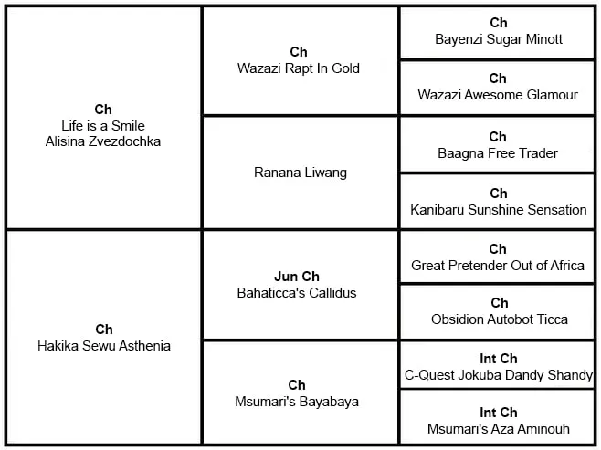 Rodokmen – Ashaki Wawindaji Kidogo
