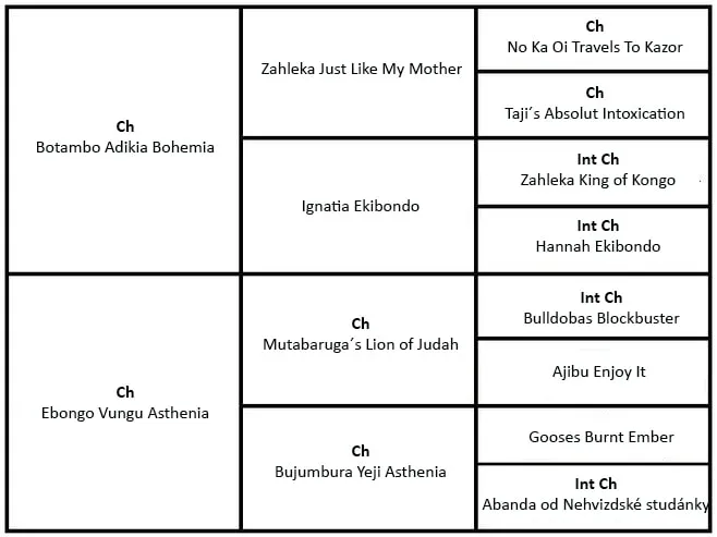 Rodokmen – Atheo Zsoka Tabangwa