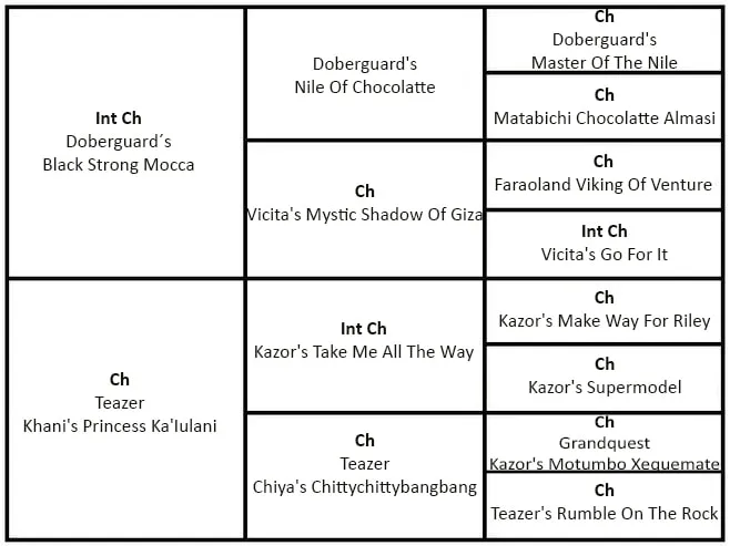 Rodokmen – Stoneface Dancing With The Demons
